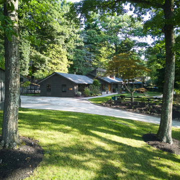 1950 Ranch Renovation