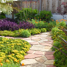 Front Lawn Alternatives