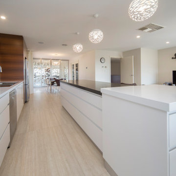 Modern Minimalist Kitchen/Dining/Outdoor