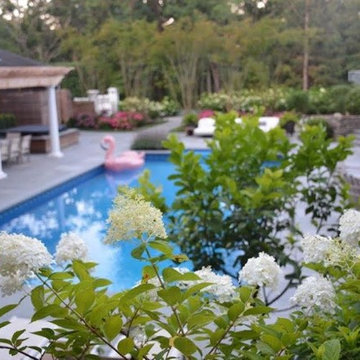Landscape In the Hamptons