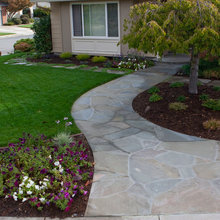 front yard