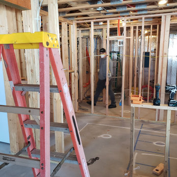 Albrecht Basement Project