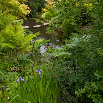 Pond side planting arrangement