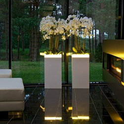 SU LIGHTS - Products