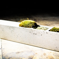 Desktop planter - Home Decor