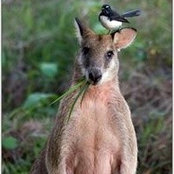 David Taylor's photo