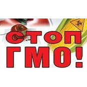 Photo de Мира Шљивић