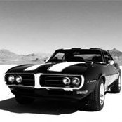 Tammi Bourbeau's photo
