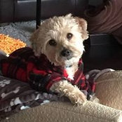 Margo Owen's photo