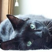 Brian Pseja's photo