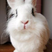 Foto de 方翊馨
