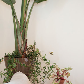 My Houzz: Relaxed Style in an Updated New Orleans Home