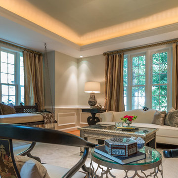 Palatial Space: Living Room (McLean, VA)