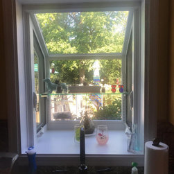 Garden Windows - Windows
