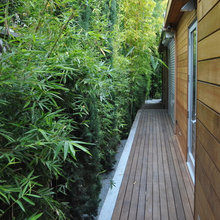 garden***