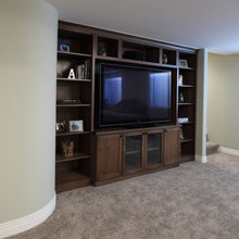 Basement Remodel