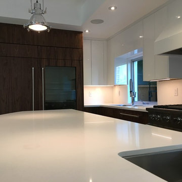 Miami High End Kitchen