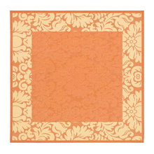 Outdoor Rugs