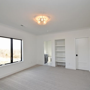 Basement Guest Bedroom