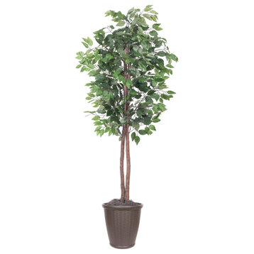6' Ficus Tree Round Brown Container