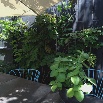 Veteran Avenue, Mar Vista