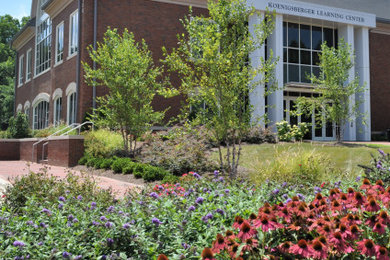 This is an example of a traditional landscaping in Other.