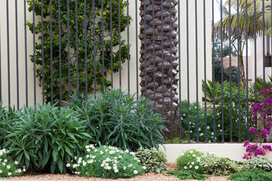 Photo of a traditional landscaping in San Francisco.