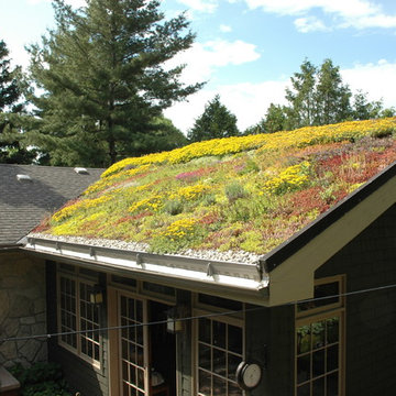 Green Roofs