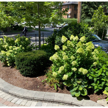 Hydrangea Floral Show