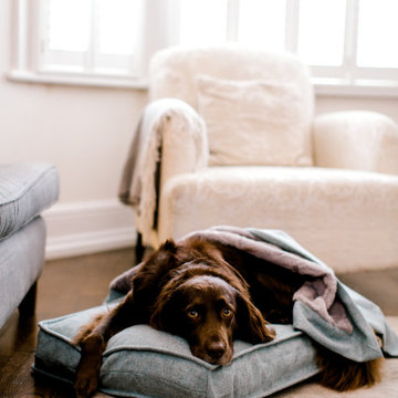 Pippa & Company Luxury Mattress Dog Beds