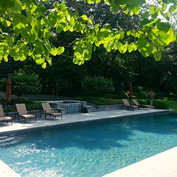 Hardscape/Pool