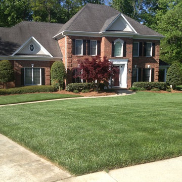 Lawn Care Program and Maintenance