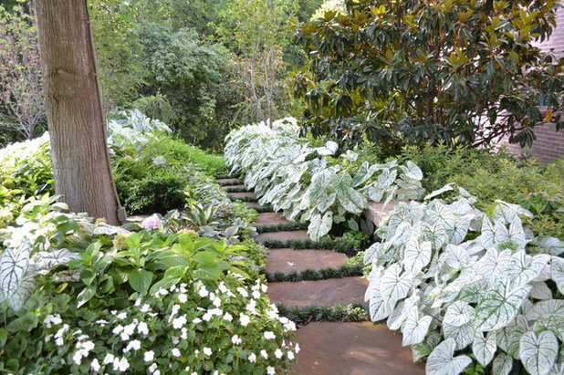 Traditional Landscape by Brumley Gardens