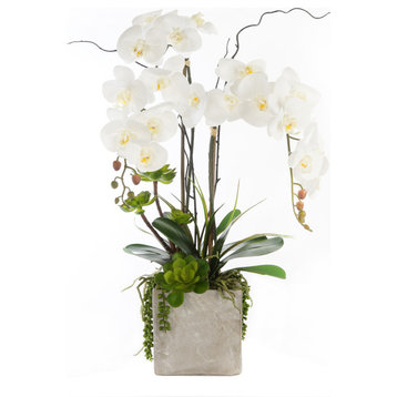 Real Touch White Orchids and Succulents, Square Cement Pot