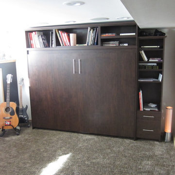 Murphy Beds and Book Cases