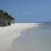 Sue Bernardi's photo
