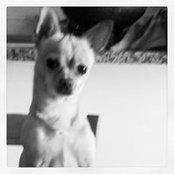 Emanuela Canino's photo