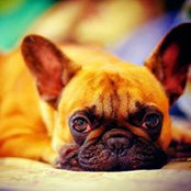 Yaroslav Chuikoff's photo