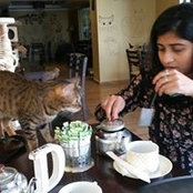 Pooja Ghosh's photo
