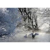 Foto di مهرداد یوسفی