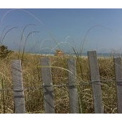 Lida Rodriguez-Taseff's photo