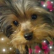 Donie Kinkade's photo