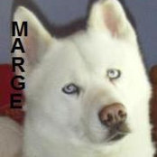 Marge Robinson's photo