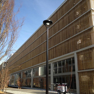 Natural Bamboo Poles