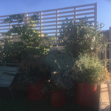 Terrasse potagère sur les toits