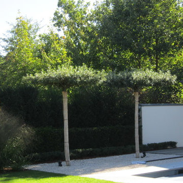 Klare Linie