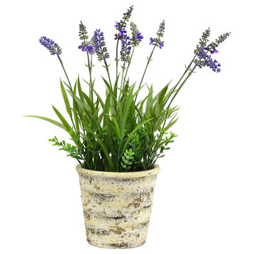 Vickerman 16.5" Lavender in Round Paper Pot
