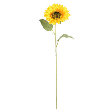23" Yellow Sunflower Stem 6/Pk
