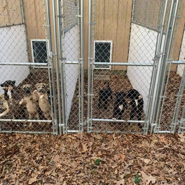 Outdoor Kennel Fencing