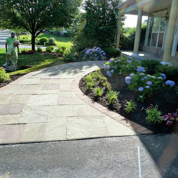 Our Work
